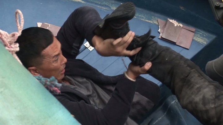 花絮：人物特辑之甄子丹 (中文字幕)