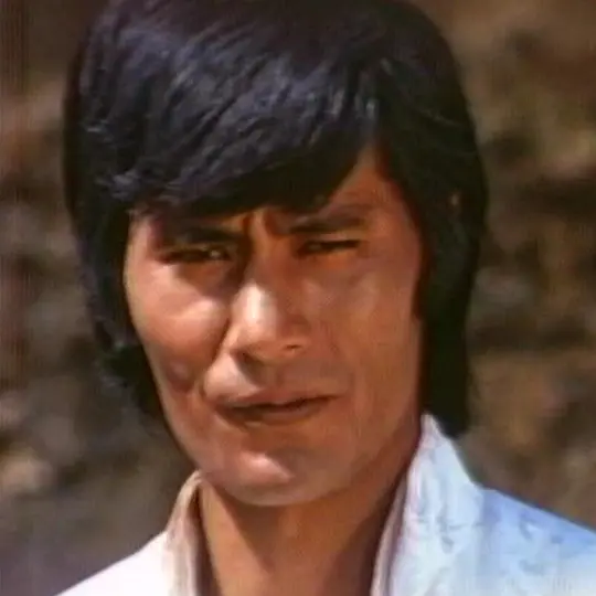龙子飞