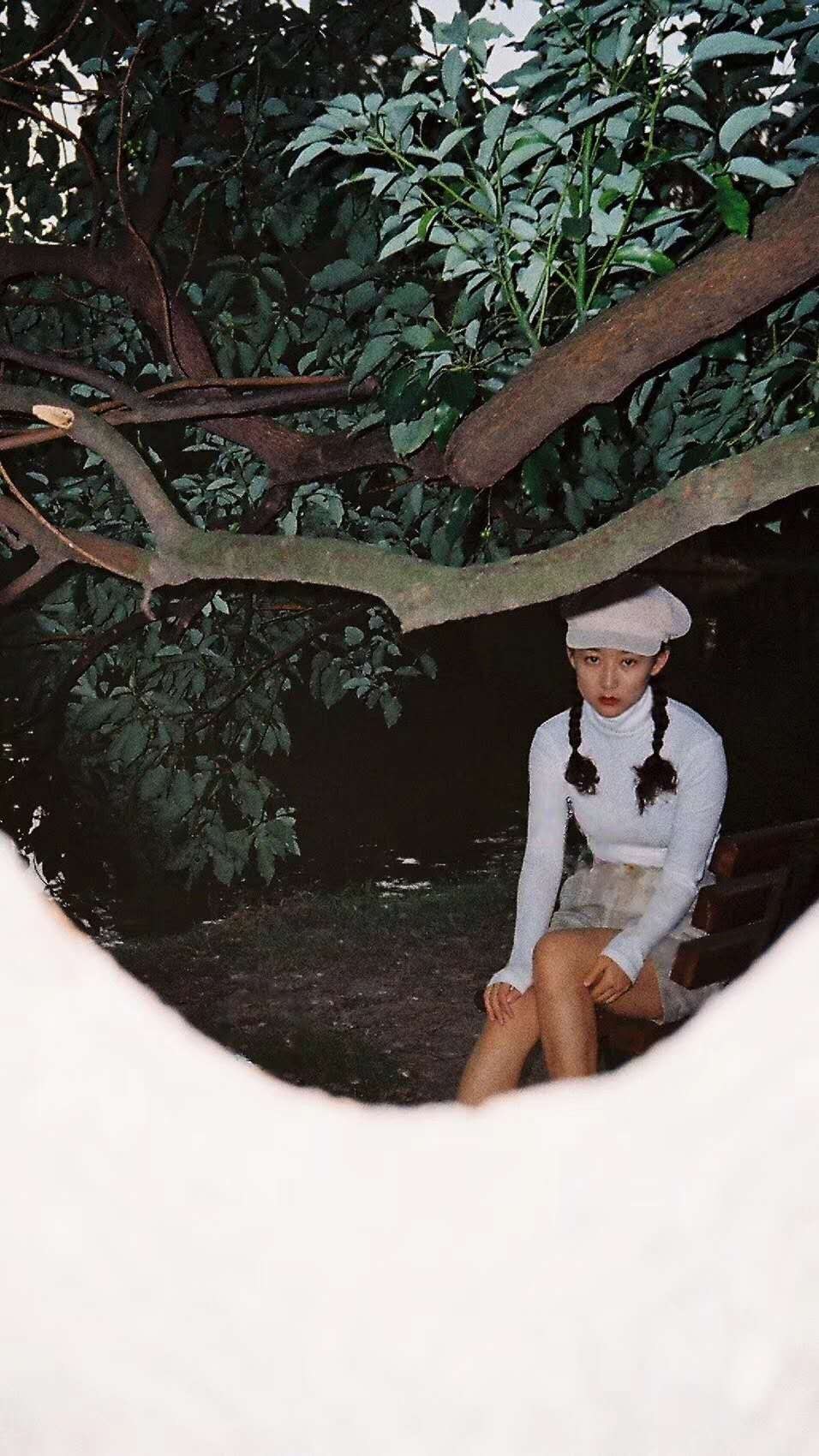 申迪