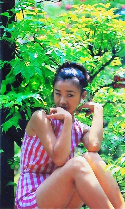秦由圭