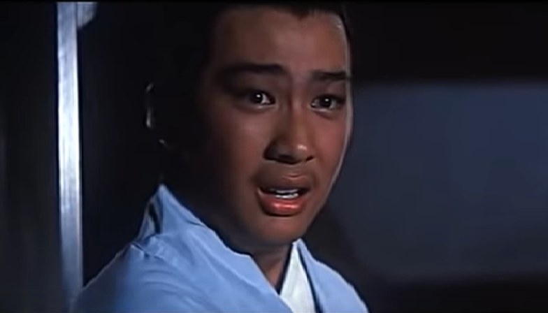 罗大维