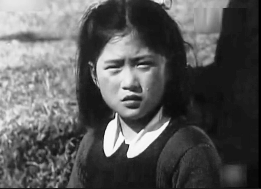 沈丽