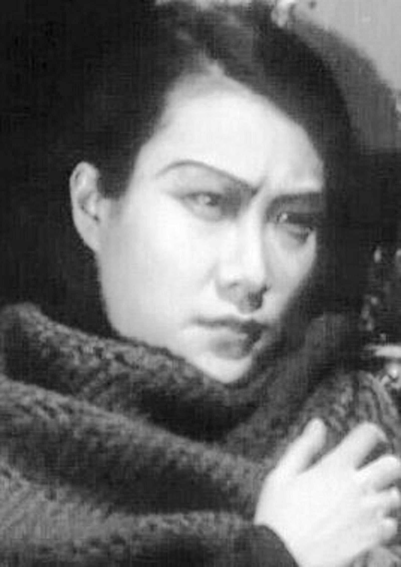 赵慧深