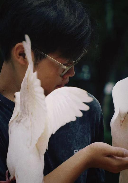 戴博伦