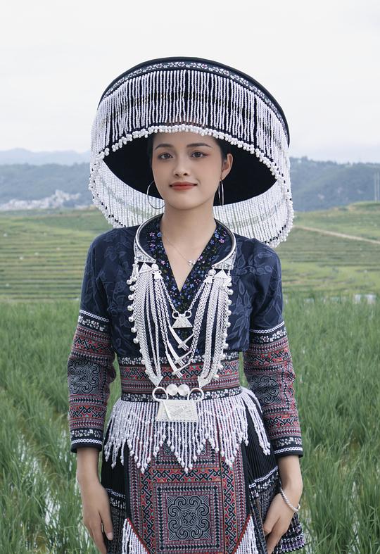 杨香