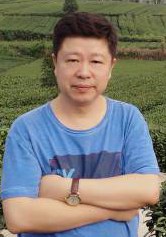 李涛
