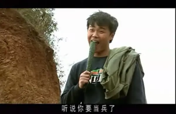 陈思诚