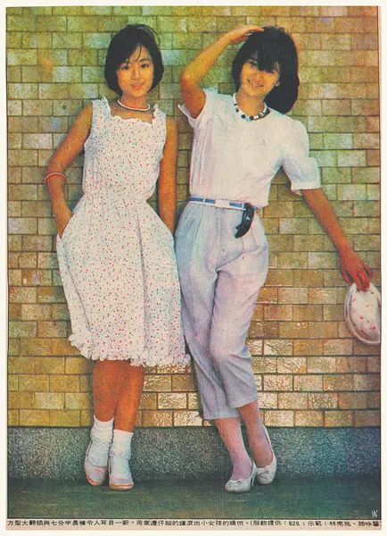 林南施