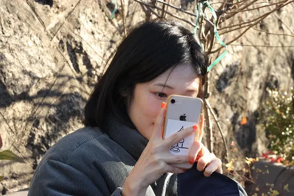 金昭彬