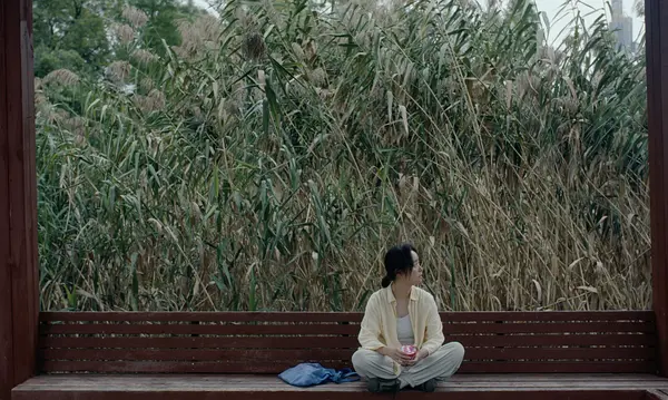 杨薇