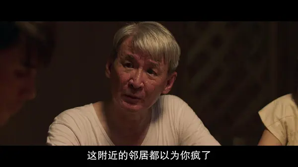 帕尔梅吉·诺亚姆