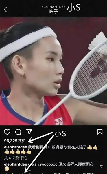 戴资颖