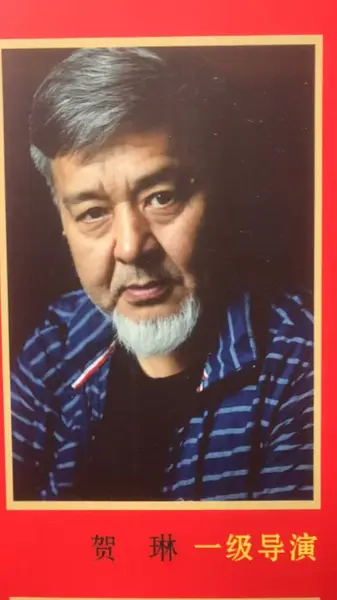 贺琳