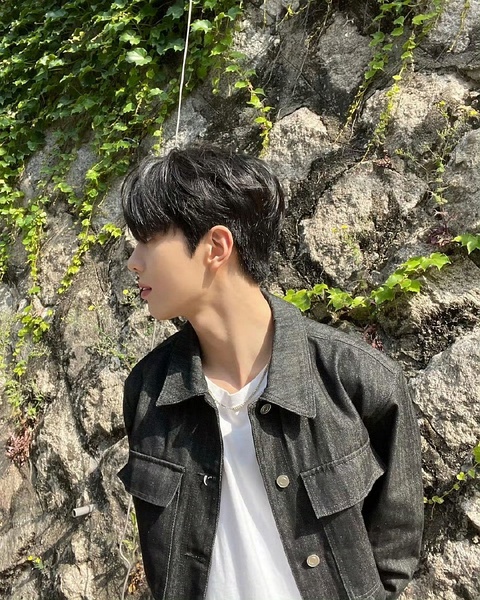 全李正
