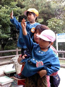 桥本智哉