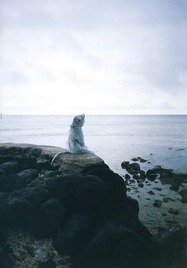 若槻千夏