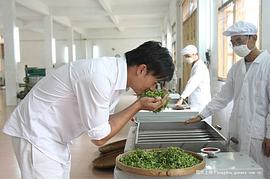 王沺裁