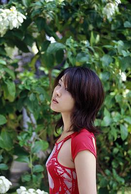 伊东美华