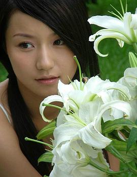 韩雨芹