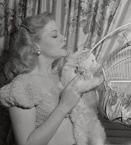 Anne Jeffreys