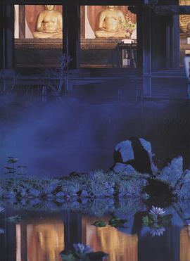 松坂庆子