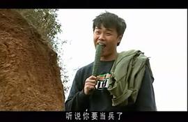 陈思诚