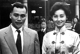 张美瑶