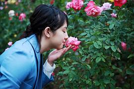 樱庭奈奈美