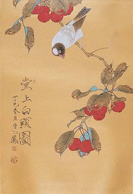 唐纹