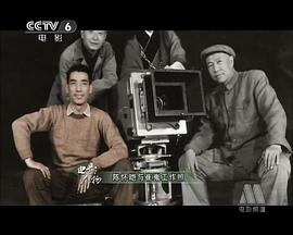 陈怀皑