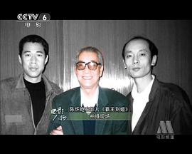 陈怀皑