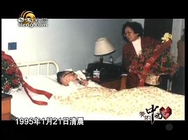夏衍