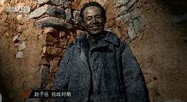 赵子岳