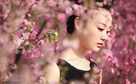 战菁一