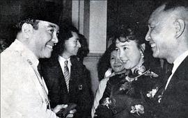 田华