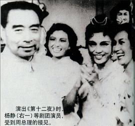 杨静