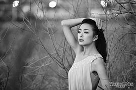 种丹妮