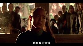 皱缇格