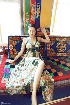 董维嘉