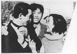 白杨