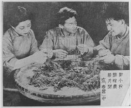 严月娴