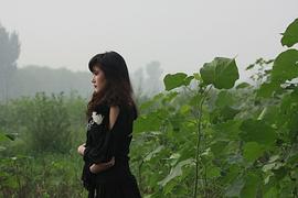 高珑珂