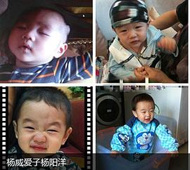 杨阳洋