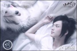 小小白