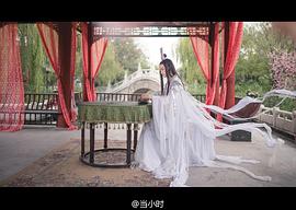 小小白