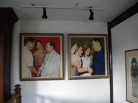 秦怡