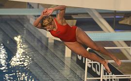Alena Gerber