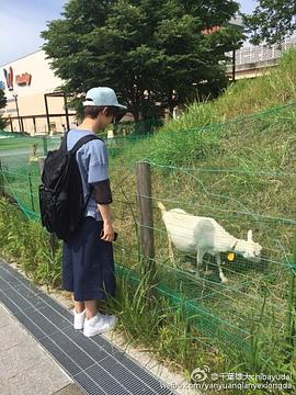 千叶雄大