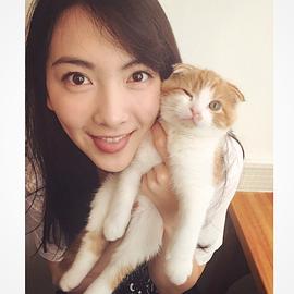 知英