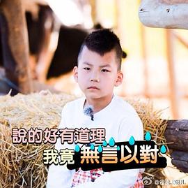 胡皓康